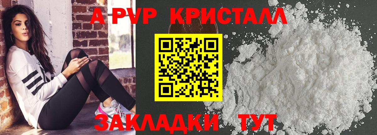 A-PVP СК КРИС Балтийск