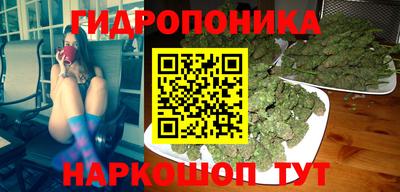 spice Канаш