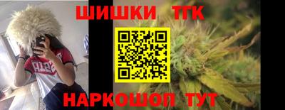 крисы Камышлов