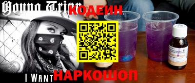 крисы Камышлов