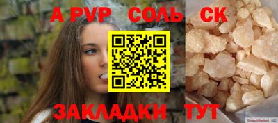крисы Камышлов